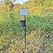 Trail Camera Stand 1/4