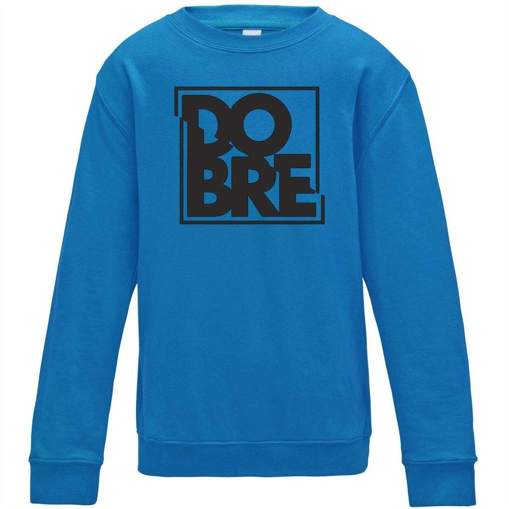 DCG PRINTWEAR Boys Girls Kids Dobre Brothers Jumper Sweatshirt YouTube Youtuber Jumping Top 12-13 Years Sapphire Blue