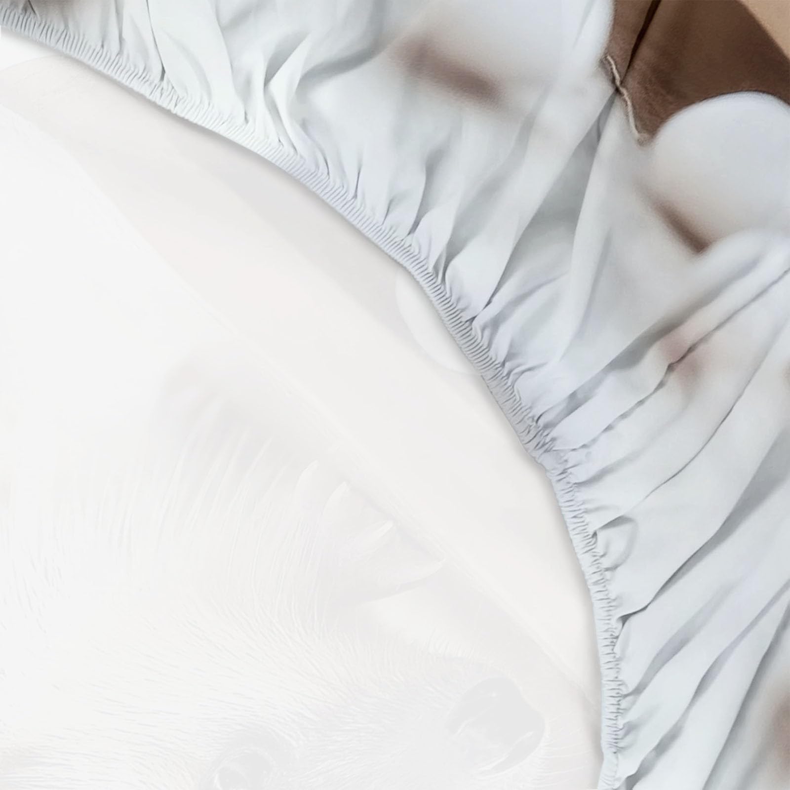 Lenzuolo con Angoli 180 x 200 cm Letto Matrimoniale Maxi - Lenzuola Sotto con Angoli in Microfibra a Motivo Riccio Carino Animale - Adatto alle Camere da Letto di Bambini, e Adulti Crema