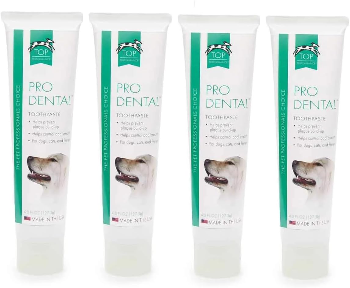 Healthy Dog Dental Care Beef Flavored Paste for Brushing Dog and Cat Teeth and Gums (4 Tubes)