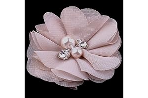 Huralona 20Pcs Chiffon Flowers for Crafts