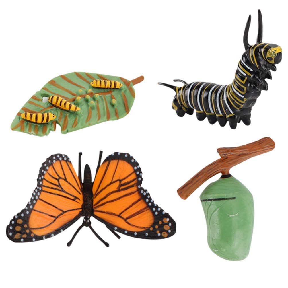 zalatiButterfly Growth Cycle Biological Model Figure Toys for Kids Educational Toys Teaching Tools