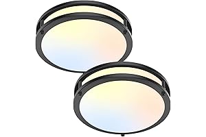 Dimmable LED Ceiling Light Fixture 5 Color Temperatures 10” 30W 4000lm - 2 Pack