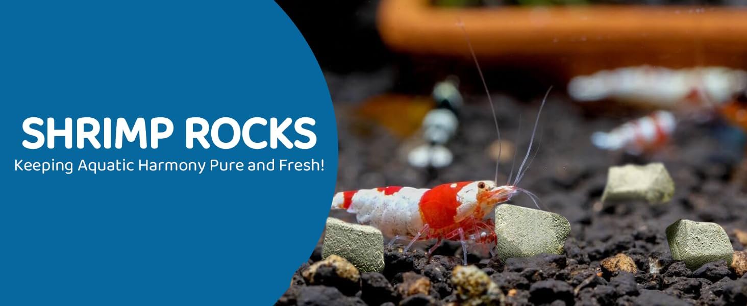 Shrimp Rocks, Calcium, Magnesium Rocks for Crayfish, Hermit Crab, Snails, Crustacean Care, Aquarium Decor for Crystal Red, Amano and Ghost Shrimps, Nano Tank Accessories, Fish Tank Supplies