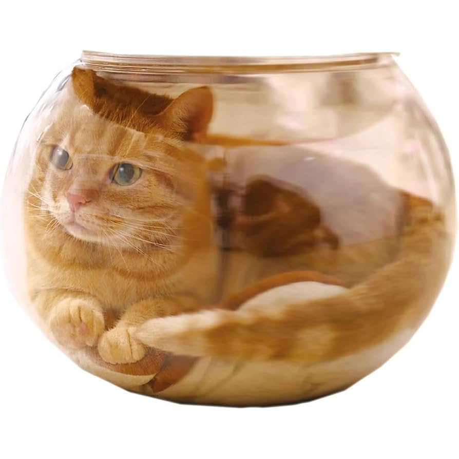 Amazon | にゃんこの金魚鉢 猫 | ビッグデビル | 金魚鉢 通販