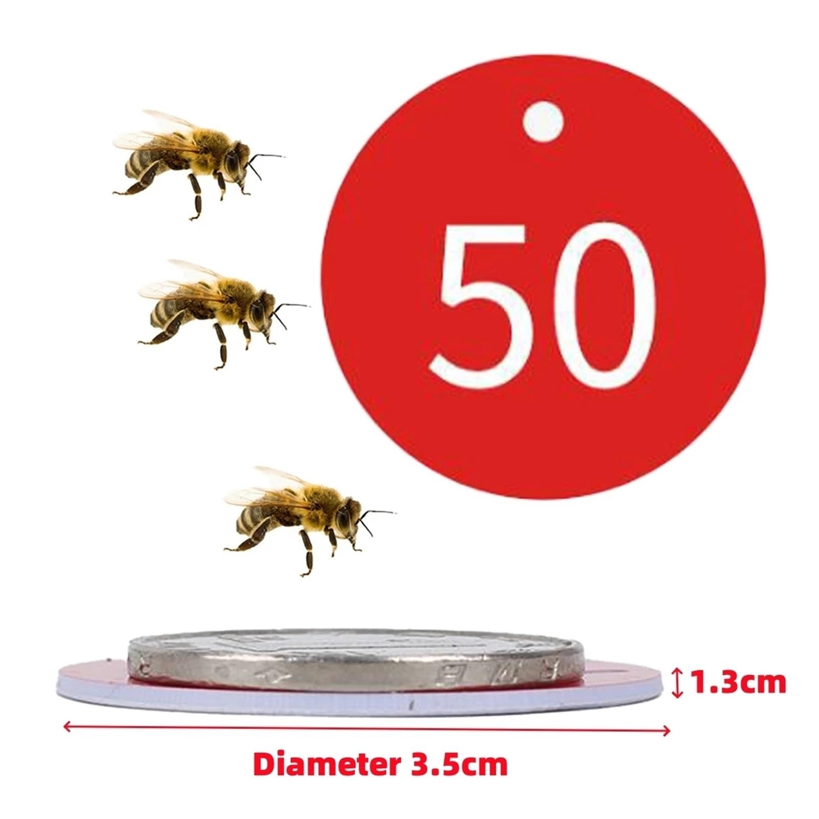Plastikowe zawieszki z numerami, Okrągłe zawieszki z numerem ula ABS otworem Wielokolorowe opakowanie o średnicy 3,5 cm, zawiera 100 cyfr 1-100(White)