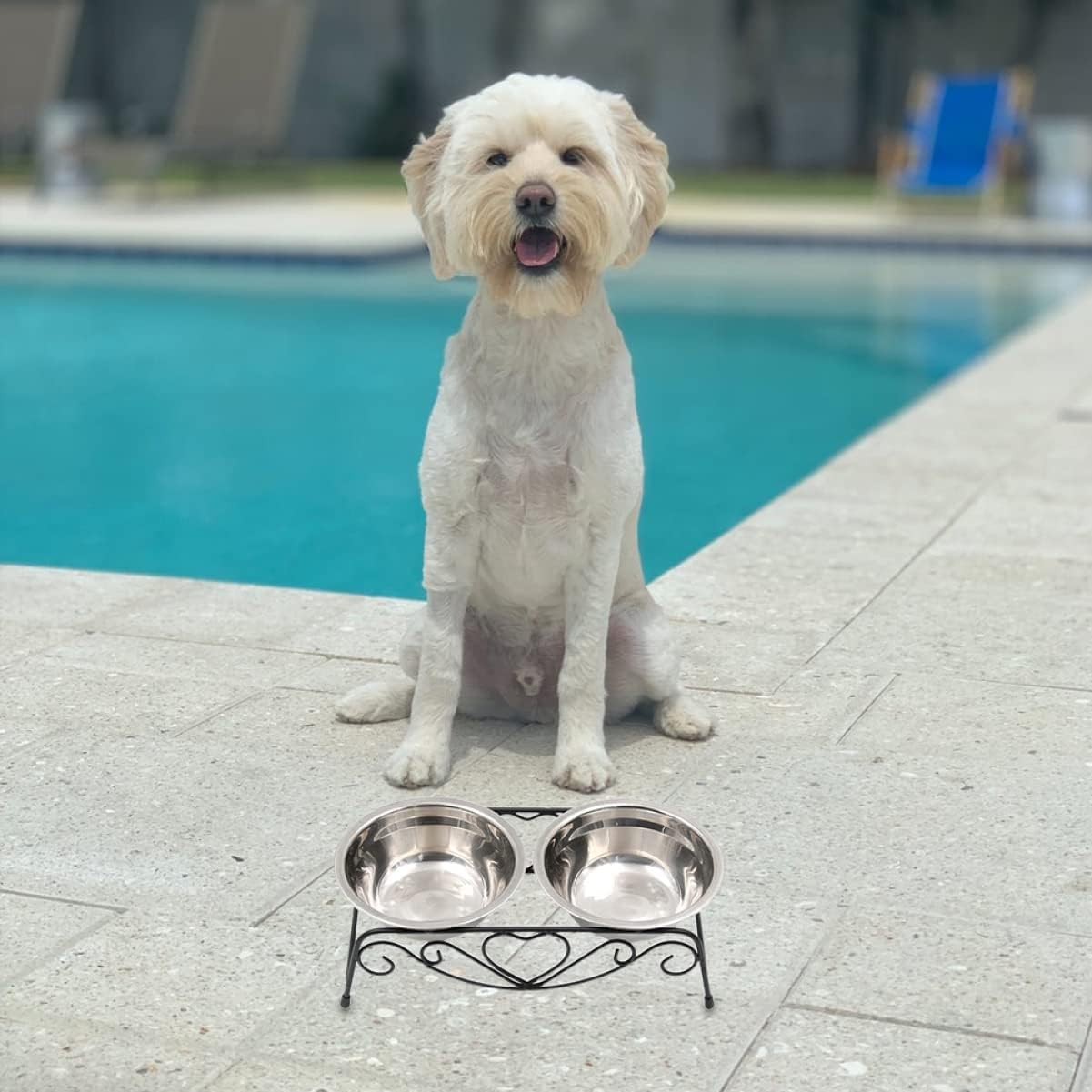 Mipcase 1set Elevated Stainless Steel Dog Cat Bowls Iron Stand for Comfortable Feeding Tip Design Height for Pets and Practical Pet Dishes