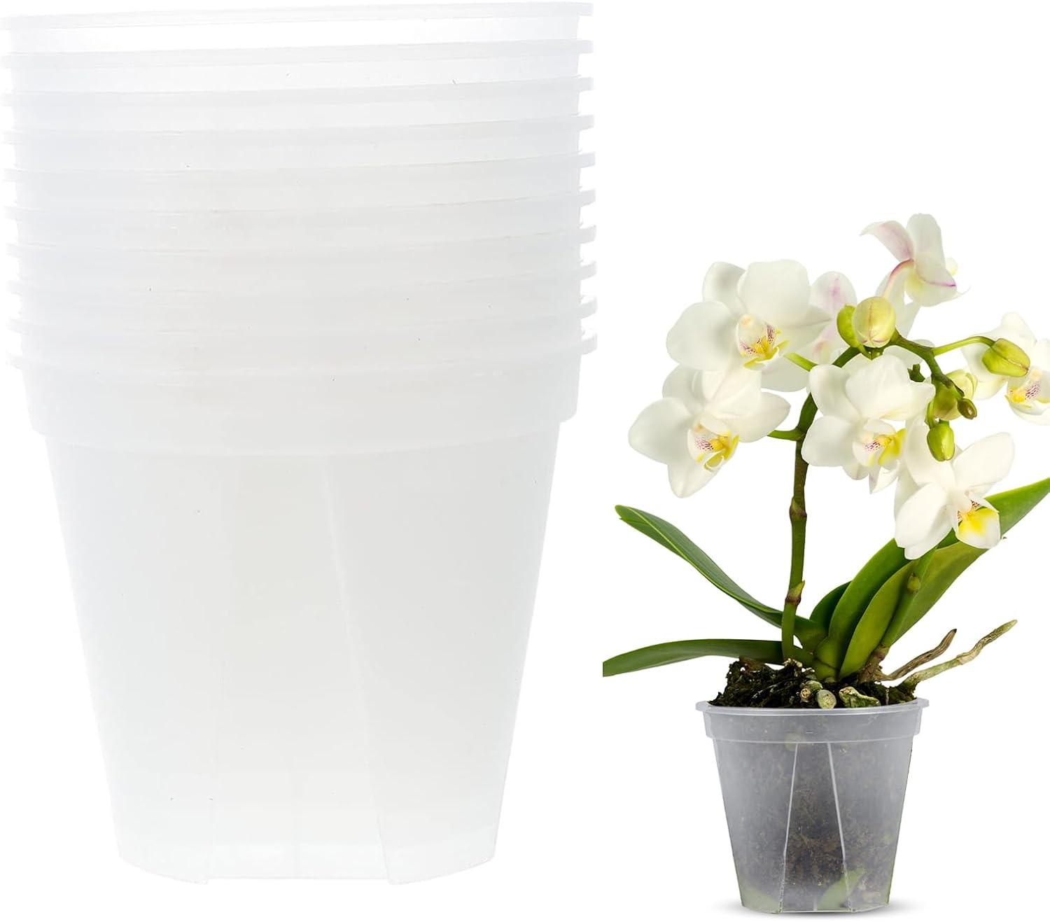 10Pcs Clear Plastic Pots for Plants Rounded Practical Transparent Gardening Pots Flower Planting Containers Planters for Herb Seedlings Vegetable Root Control for Indoor Outdoor 12X12X10. 5CM