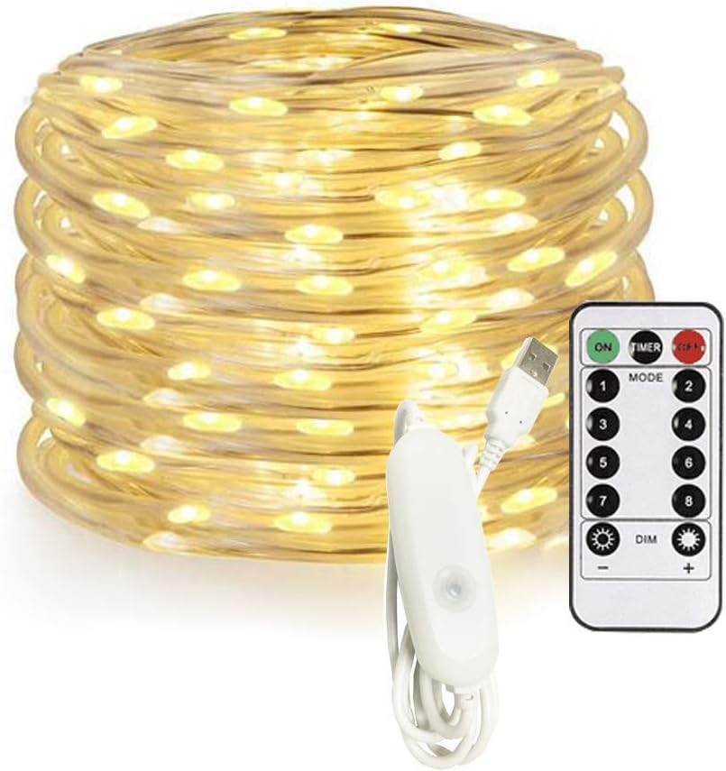 32.8ft 100 LED Rope Lights,USB Powered Waterproof Outdoor Rope lighting，8 Lighting Modes/Timer, Connectable with Clear PVC Tube,for Decorative Rope Lighting for Backyards, Garden, Patio (warm)