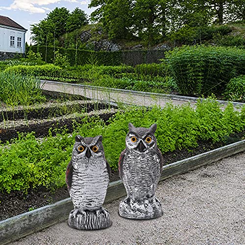 Kky 2 Packs Fake Plastic Owl Bird, Garden Owl Statue,Can Repel Pigeons Away From The House, Garden, Pool. #TOP4