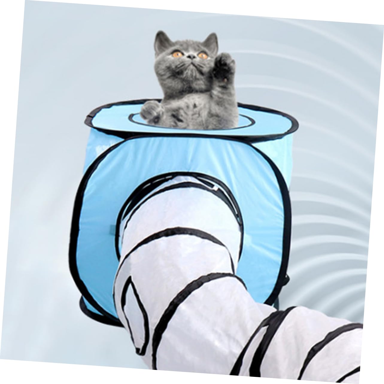 INOOMP Tunnel De Interactif pour Tunnel Pliable s Jouet pour Chaton Design Compact Bleu