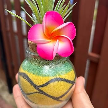 カラーサンドアート/ハワイ/南国 Amazon.co.jp: カラーサンドアート パイナップル サンドアート