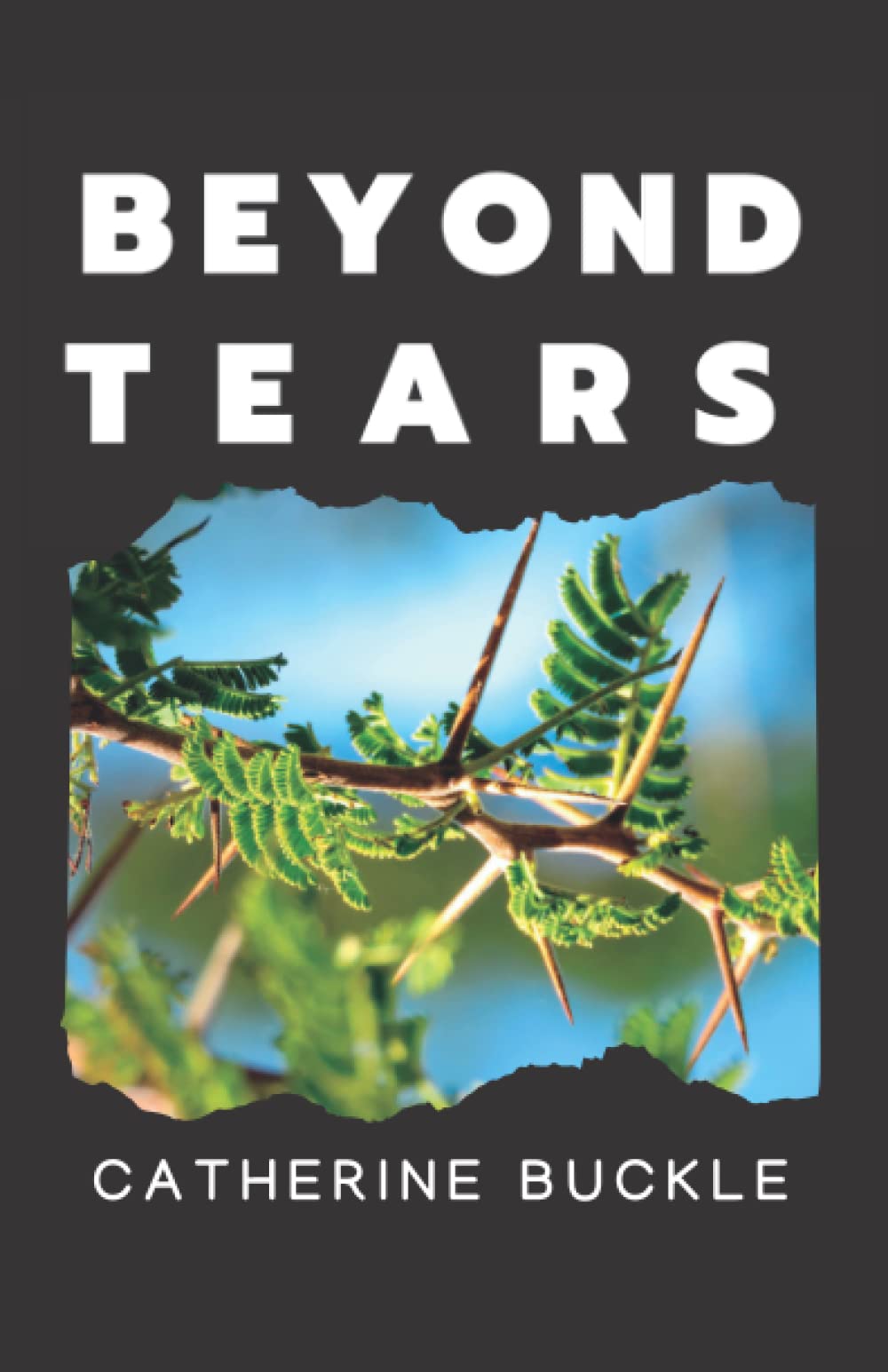 Beyond Tears (Life During Political Crises in Zimbabwe)