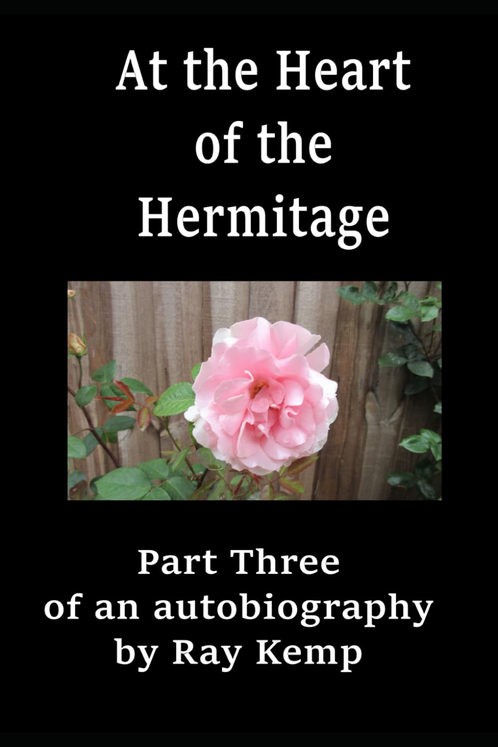 At the Heart of the Hermitage: Part Three of an autobiography by Ray Kemp (Ray Kemp autobiography)