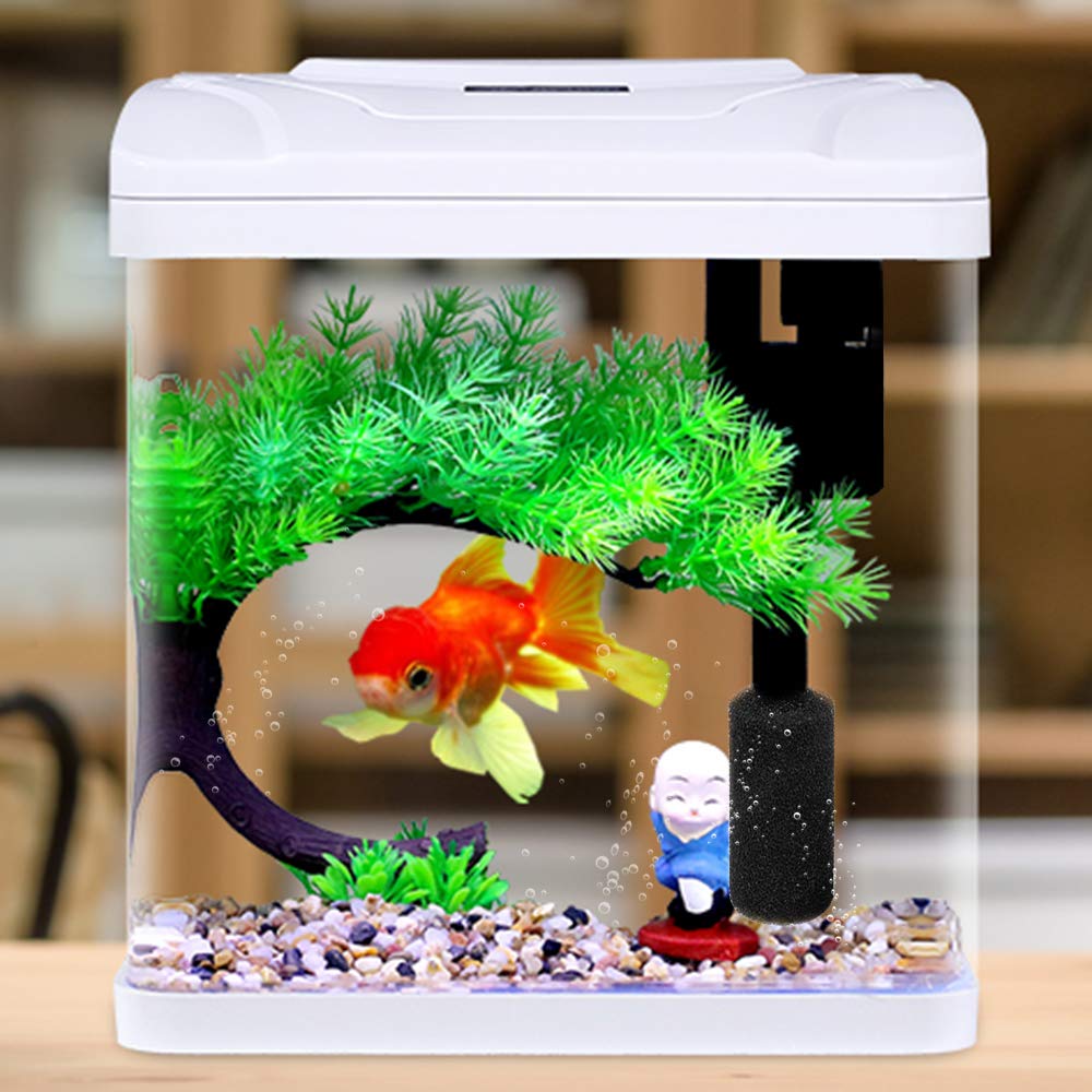 Boxwizard 10 Pièces Jaune Mousse Remplacement Filtre à