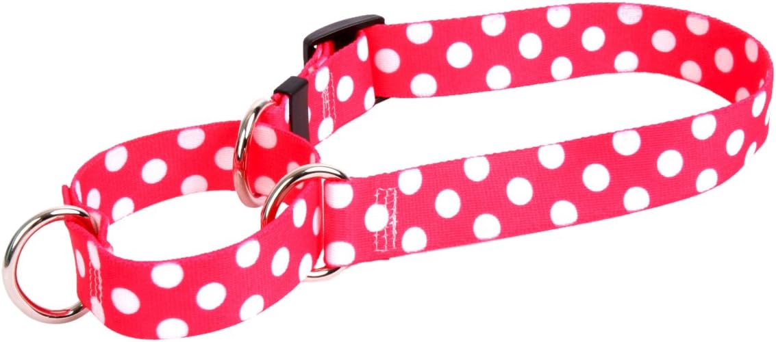 Yellow Dog Design Martingale Slip Collar, Strawberry Polka Dot, Medium 20"