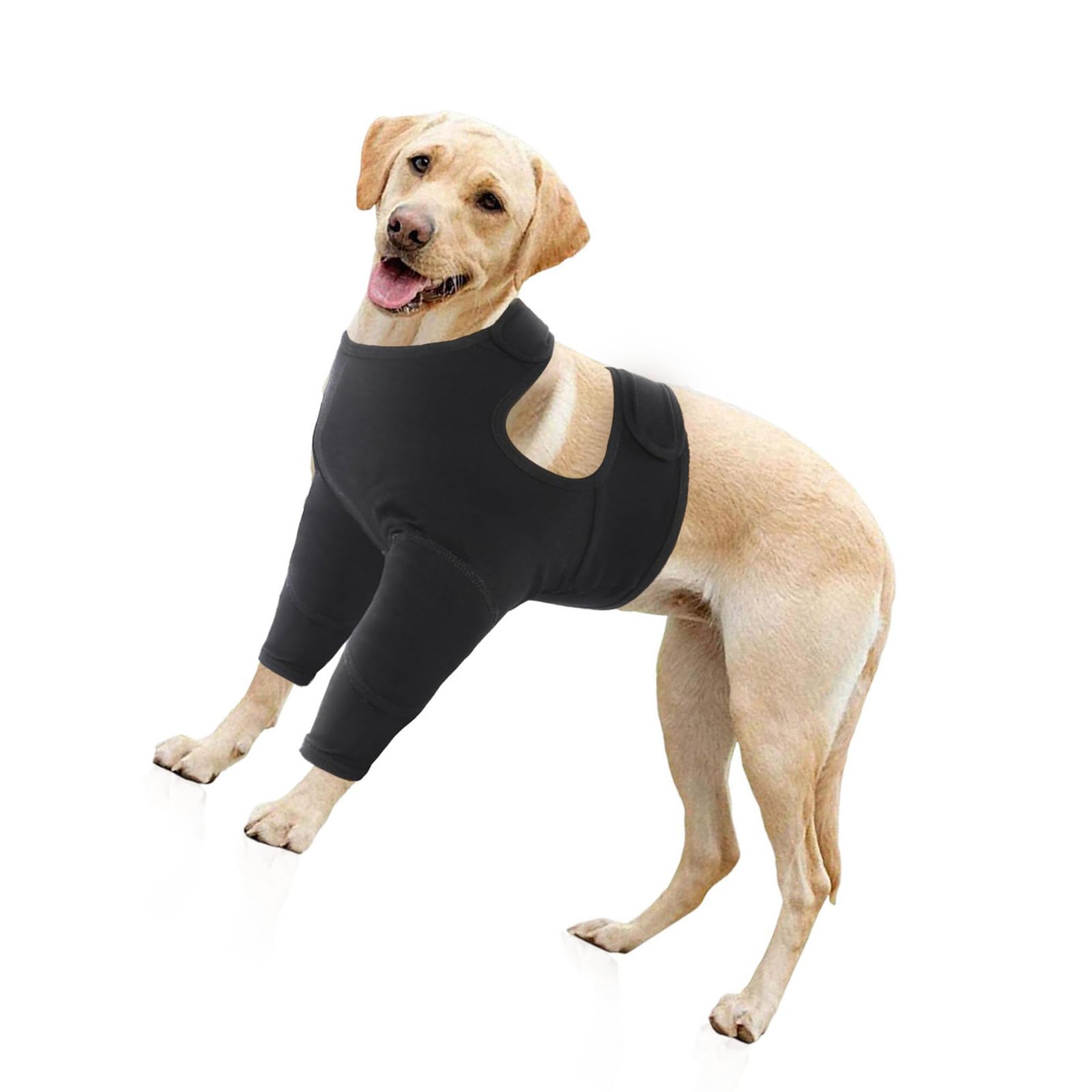 Legging pour chien âgé pour des promenades sereines malgré le vieillissement
