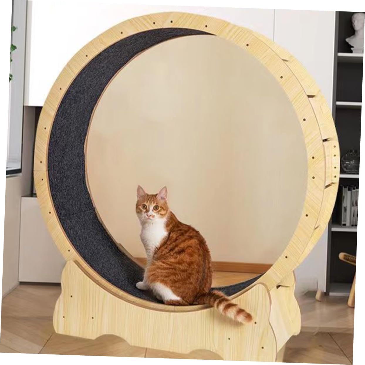 SUPVOX Cat Exercise Wheel Mat Durable Felt Cushion for Cat Running Wheel Scratching Pad Lightweight Portable Design for Indoor Pets for Cats Hamsters Animals