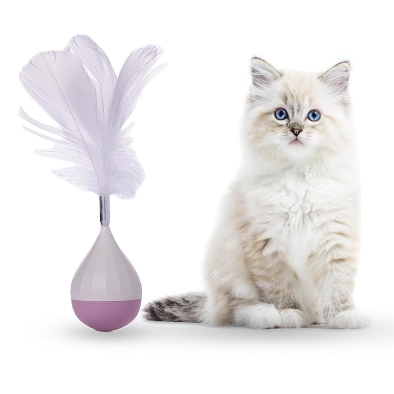 ZINZOE Interactive cat toys, Feather ball for cats, Engaging Pet Play for Active Kittens & Cats in indoor activities, Cat accessories