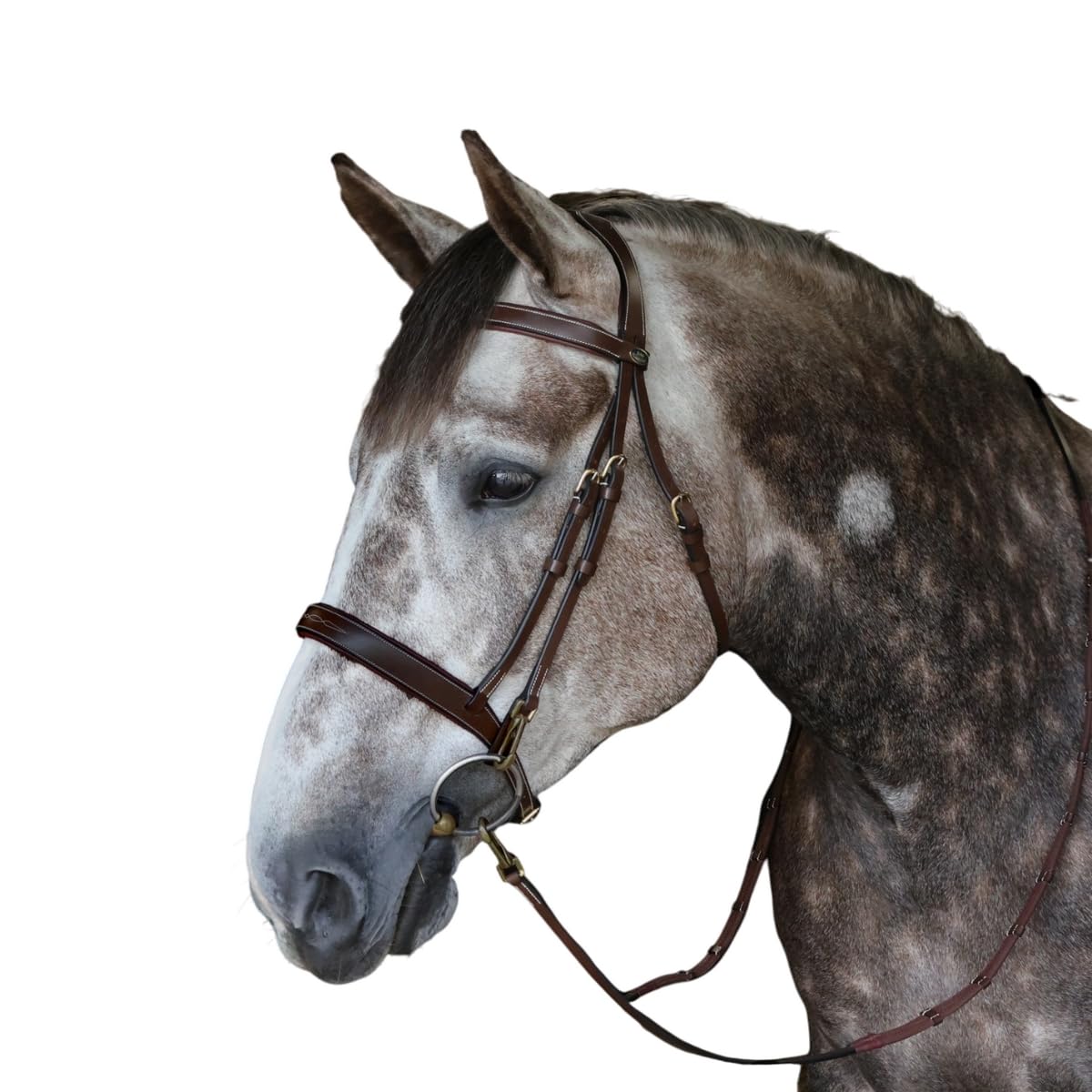 Whitaker Madrid Pelle Filetto da Briglia per Cavallo