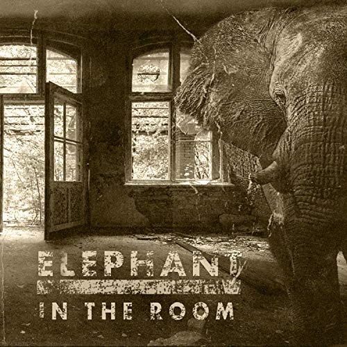 Elephant In The Room
