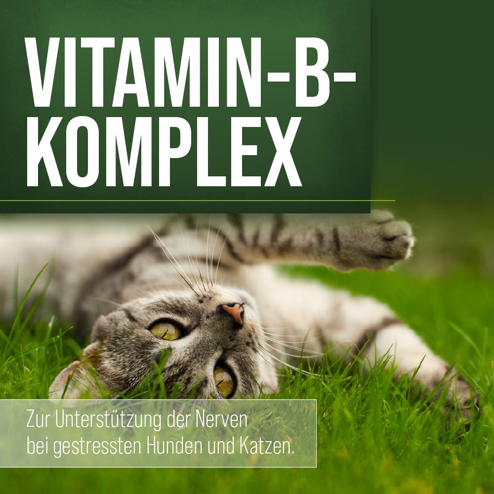 Sanct Bernhard Complesso di vitamina B cani 120 Capsule, 1er Pacco (1 x 50 g)