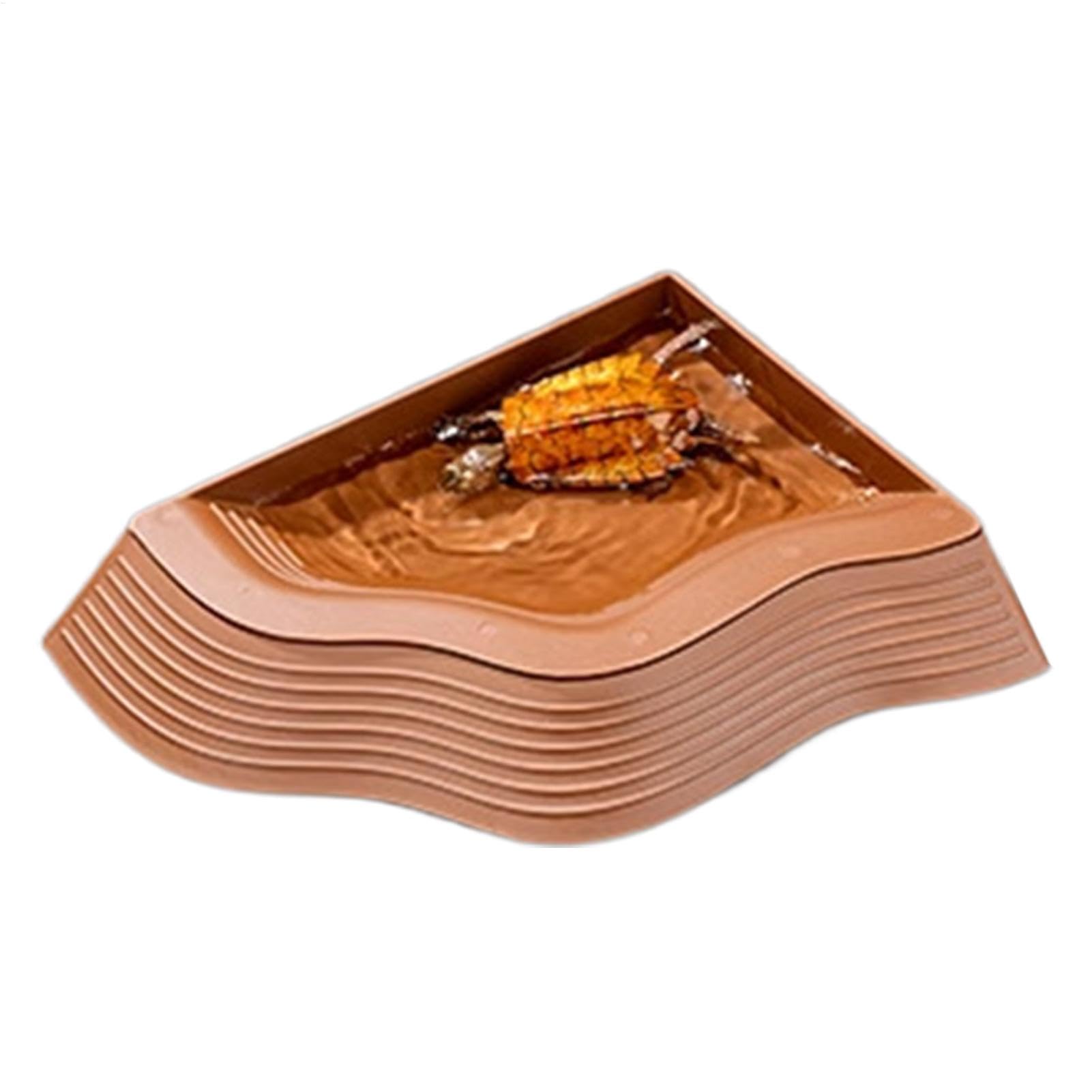 Plat à nourriture pour tortue plateau mangeoire et support d'alimentation pour petit habitat