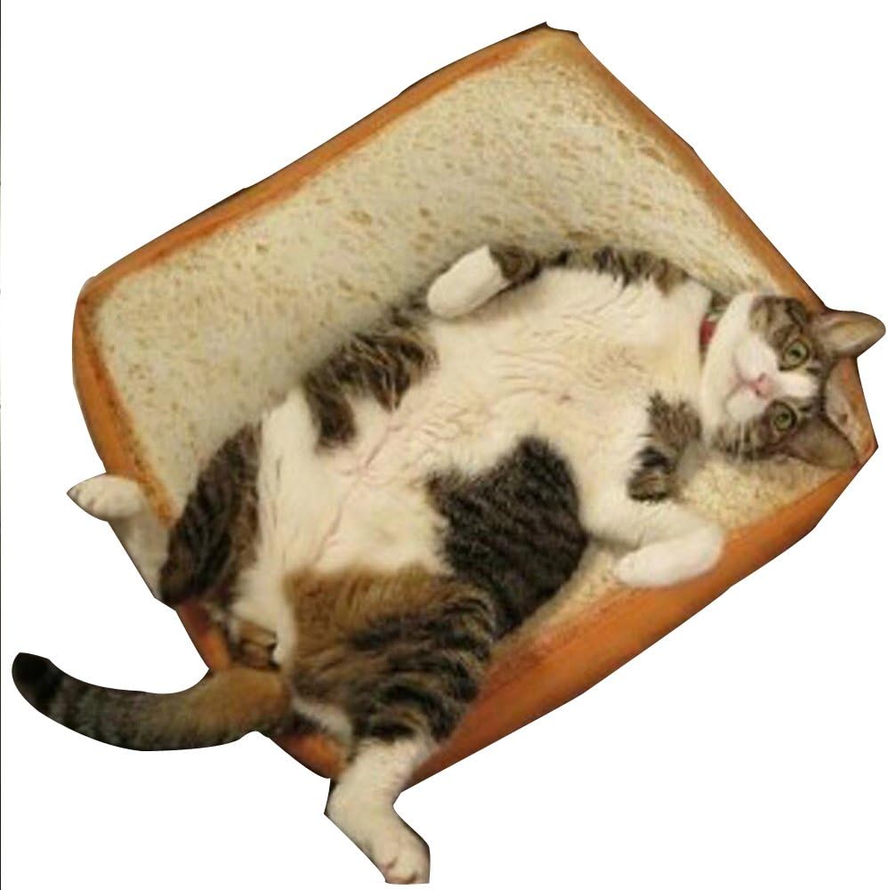 Patedan Sleeping Cotton Simulation Bread Slices Small Cat Plush Toy Toast Cushion Soft Pillow