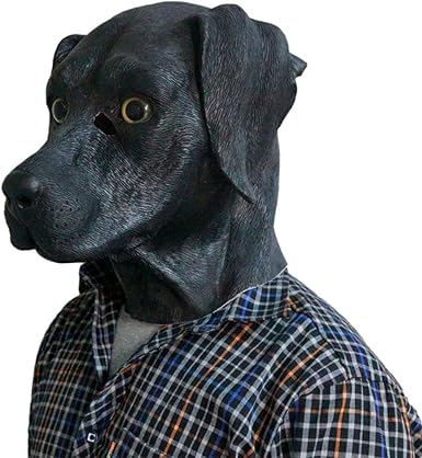 labrador costume