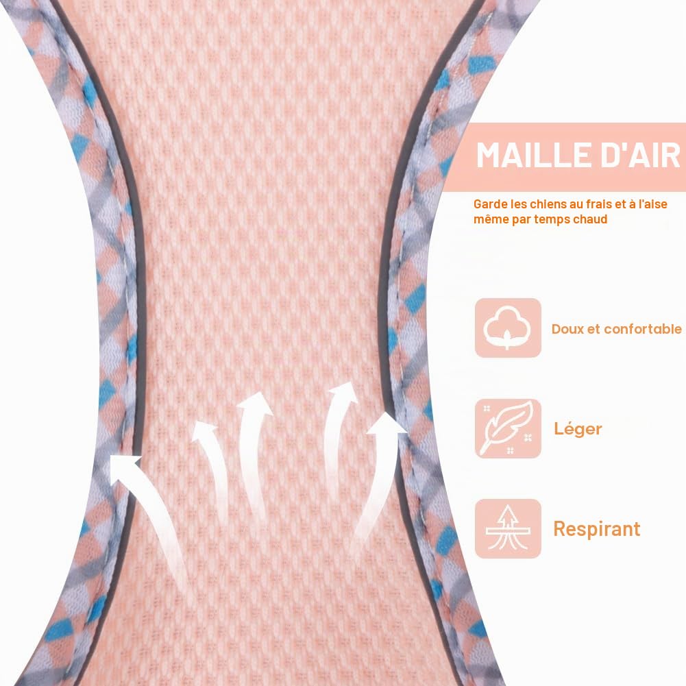 Harnais pour Chiens de Petite Taille et de Taille Moyenne, Harnais et Laisse pour Chiots, Harnais en Maille réfléchissante et Respirante, Gilet Doux et rembourré pour Chiens