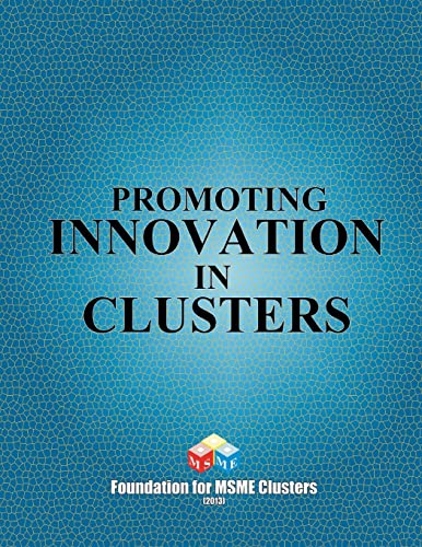 Promoting Innovation in Clusters 1482710684 Book Cover