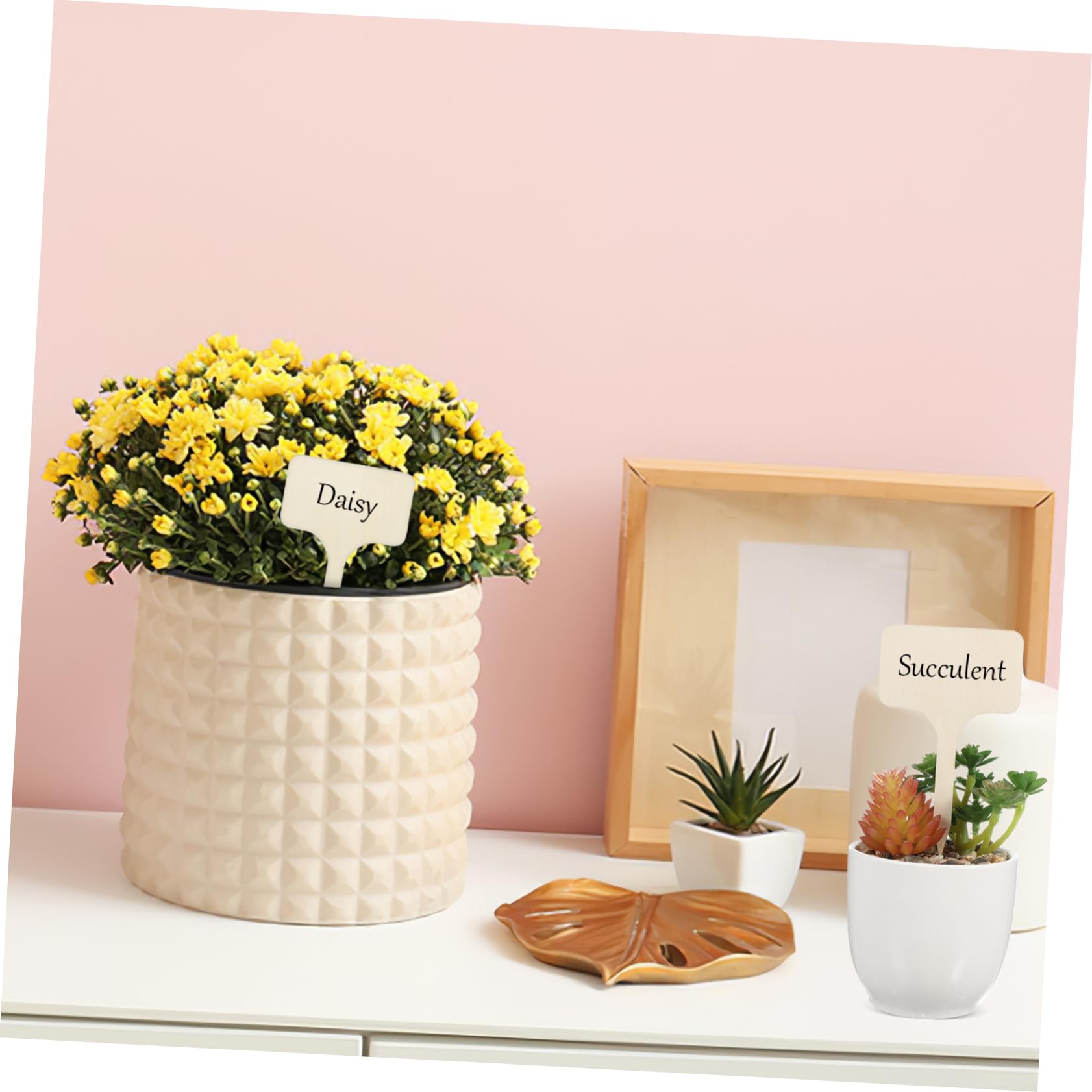 POPETPOP 250pièces Étiquettes De Plantes Marqueurs De Jardin Pour Semences Et Fleurs Lot De Étiquettes Réutilisables Pour Identifier Vos Plantes Et Votre Espace