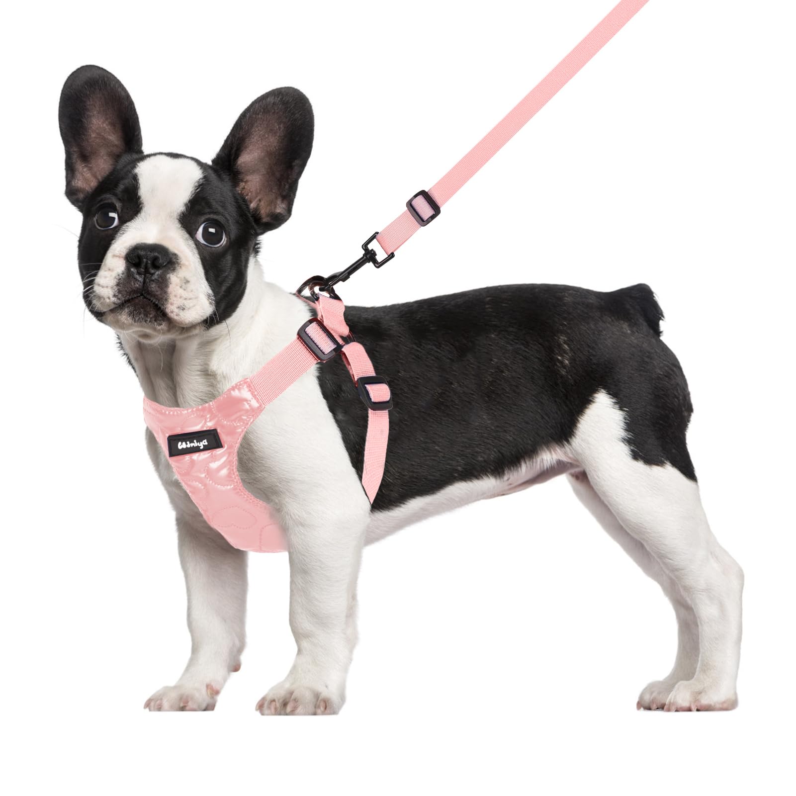 Pettorina per Cani, Pettorina per Cani Taglia Piccola, Imbracatura per Cane, Pettorina Puppy Antifuga, Collar per Cani, Cani Accessori (XL, Rose)