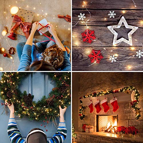 Le Fairy Light Battery Operated, Warm White, 3.3Ft 20 Micro Starry Led, Waterproof Decorative Cooper Wire String Light For Indoor Outdoor Wedding, Party, Bedroom, Mason Jar, Craft And More, Pack Of 16 #TOP5