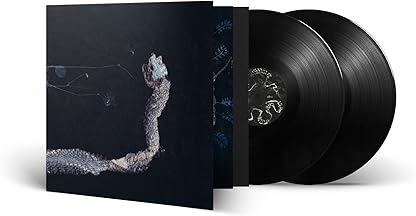 Maaaet por Tenhi — capa do álbum