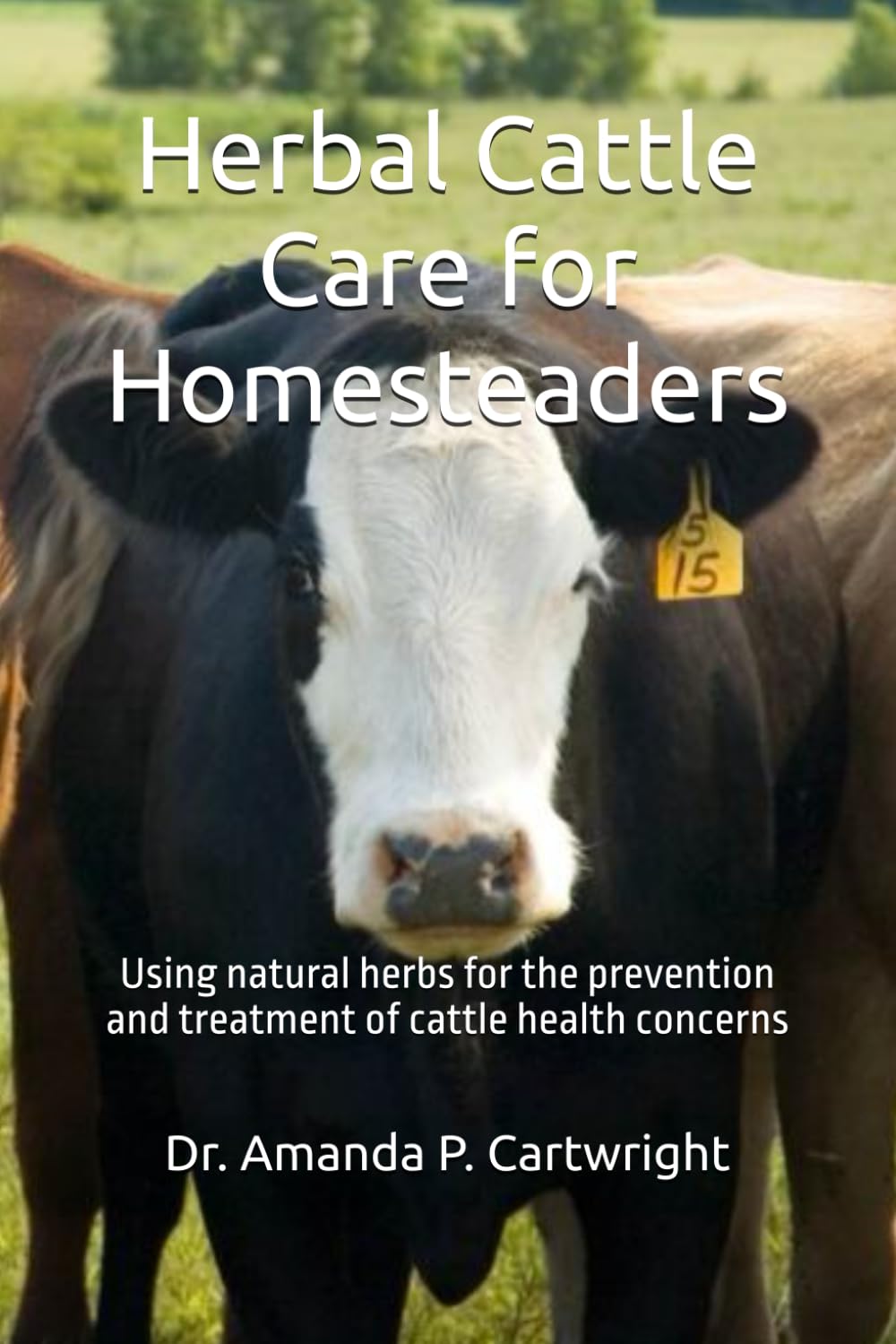 Herbal Cattle Care for Homesteaders: Using natural herbs for the prevention and treatment of cattle health concerns