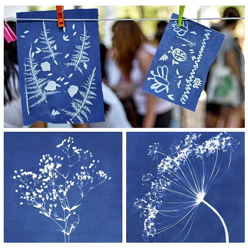 Amazon | Ladruph 32 枚 シアノタイプ紙 高感度自然印刷用紙 日光写真