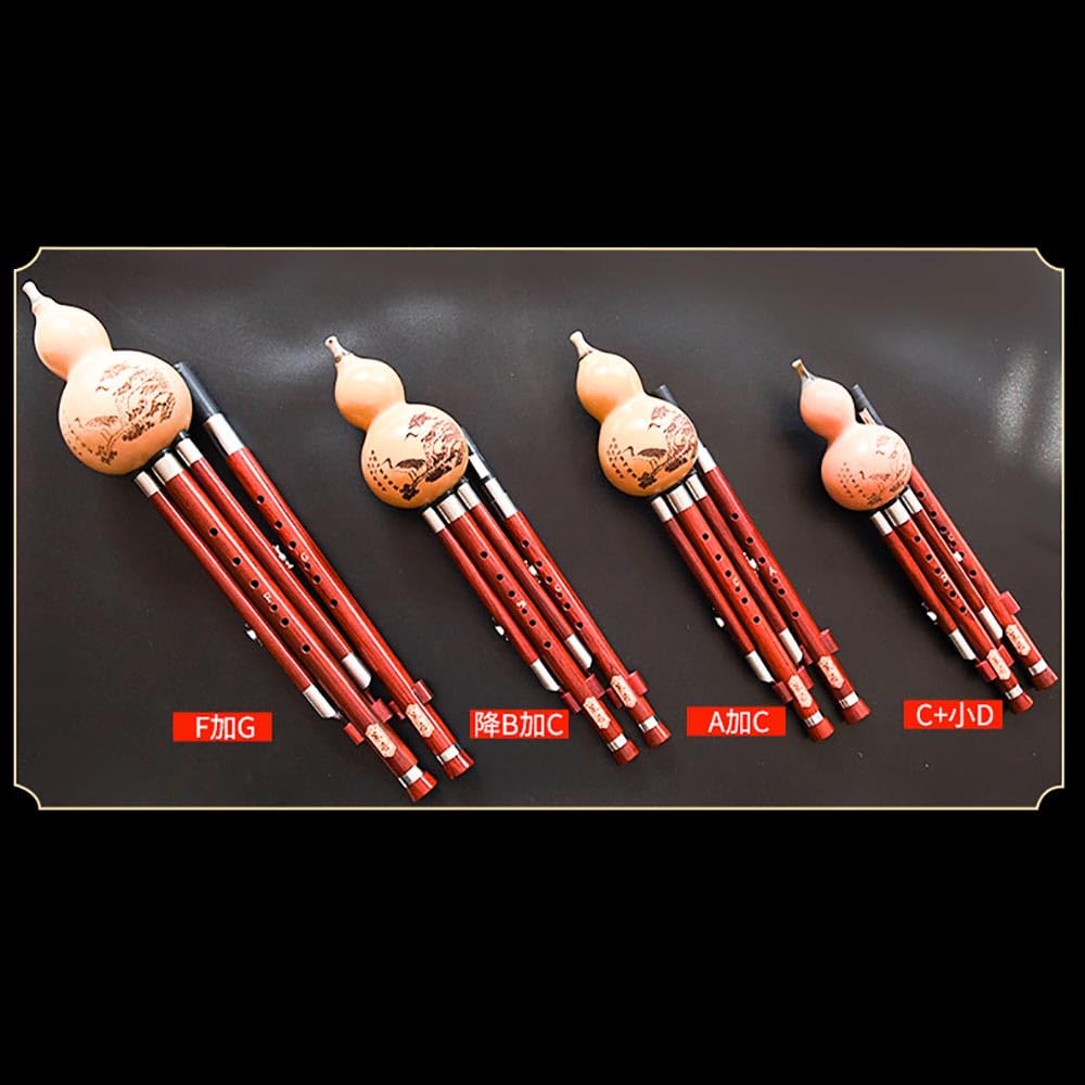 Hulusi Flûte professionnelle en forme de cucurbitacée en bois rouge double ton F+G Touche Bb+C Clé D+C mineure avec nœud chinois