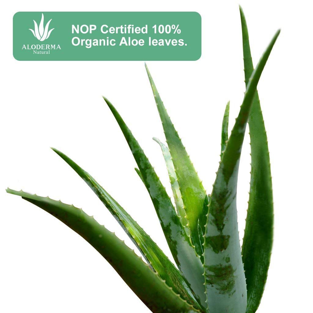 Aloderma Pure Aloe Vera Gel Made with 99 USDA Organic Certified Aloe