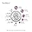 Beadsland Flat Back Crystal Rhinestones Round Gems for Nail Art and Craft Glue Fix, Light Pink, 10mm, SS50/144pcs