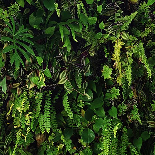 World of Wallpaper Kew Living Wall Wallpaper Green/Black Leaf Plants Tropical Foilage - Feature Wall Paper for Living Room Bedroom Hallway Lounge 66119