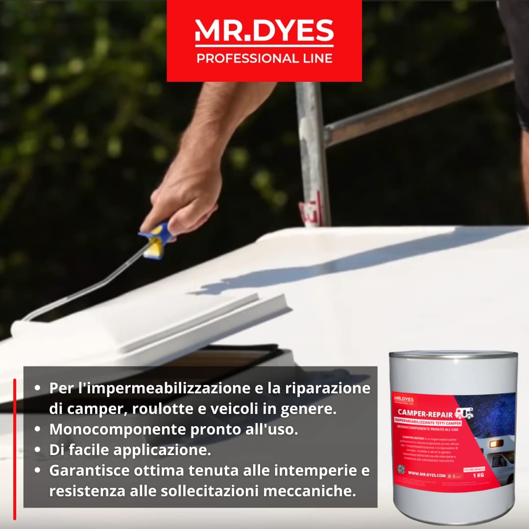 IMPERMEABILIZZANTE POLIURETANICO MONOCOMPONENTE PRONTO ALL'USO PER TETTI CAMPER, BIANCO, 6 KG