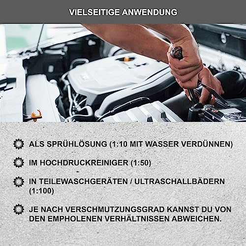 DELLWING HD Spezialreiniger - hochkonzentrierter alkalischer Reiniger für Vergaser, Zylinderköpfe, Injektoren, Einspritzdüsen, als Ultraschallbad, Teilewäsche, Hochdruckreiniger, Sprühlösung - 5L