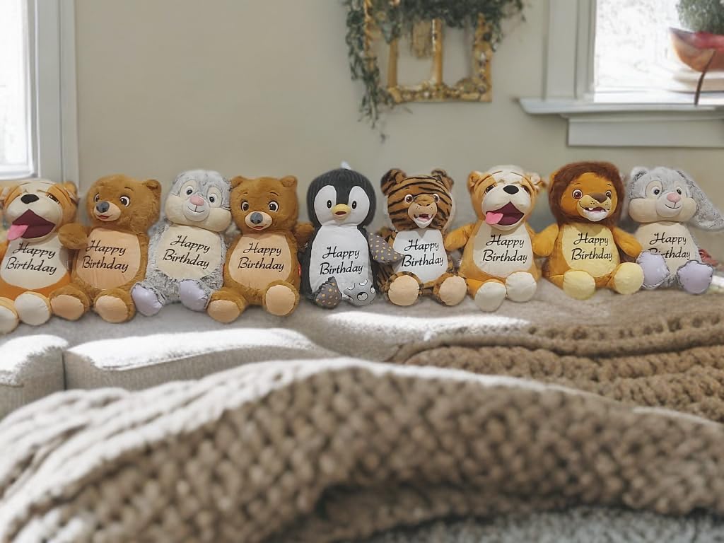 Personalized Birth Stats Plush Bear with Name & Date | Custom Nursery Keepsake | Newborn Shower Present for Boys or Girls
