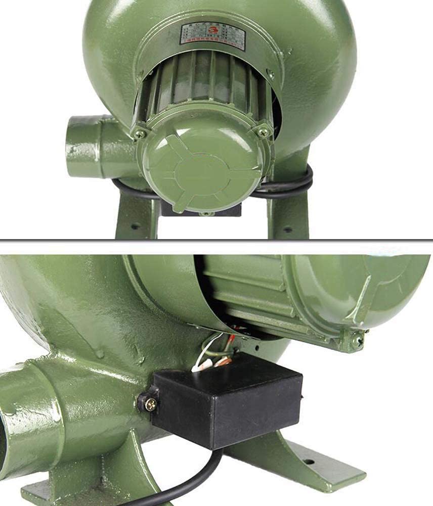 Accendino a Carbone - Ventilatore per forgia Elettrico con Ventola per Barbecue - Motore in Rame Puro 220 V - per Batteria per Auto con ventole per Barbecue