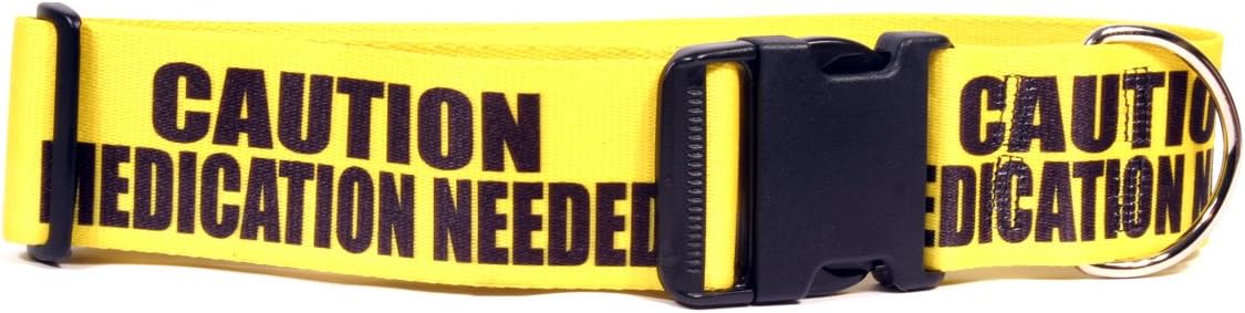Yellow Dog Design 2" Caution Medication Needed Dog Collar 2" Wide and Fits Neck 10 to 14", Small