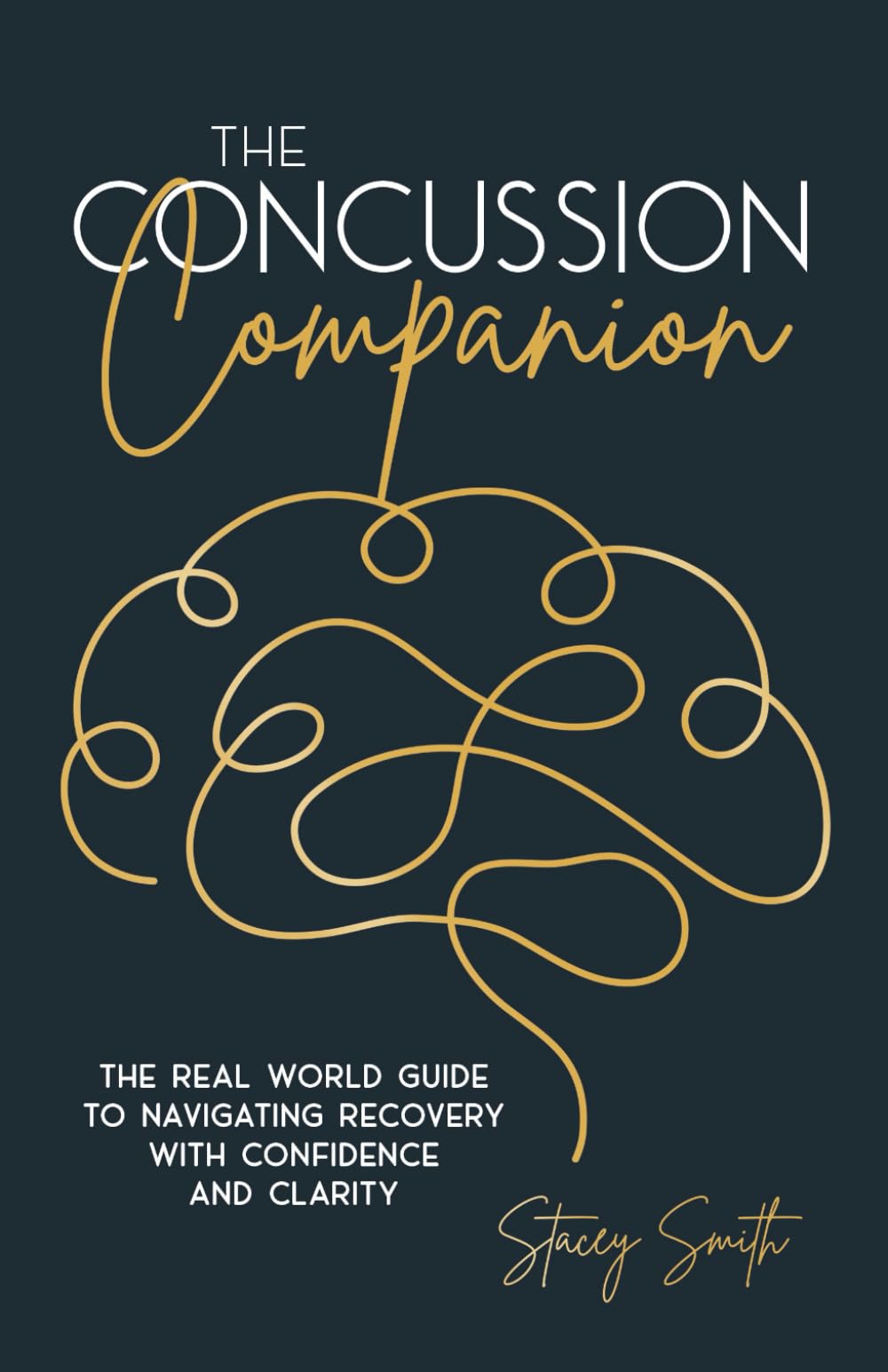 The Concussion Companion: The real world guide to navigating recovery with confidence and clarity