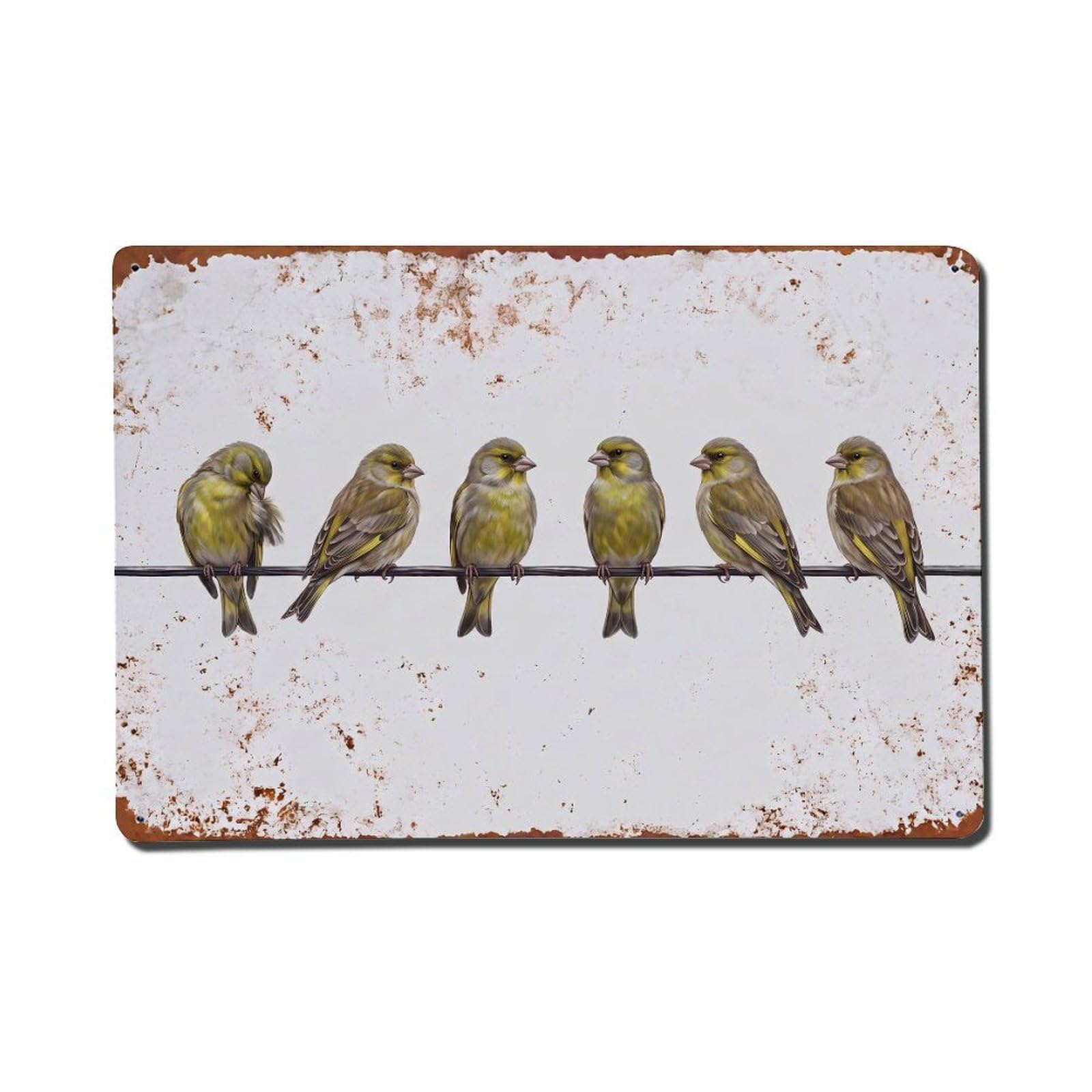 Vintage Retro Birds Greenfinch Metal Tin Sign