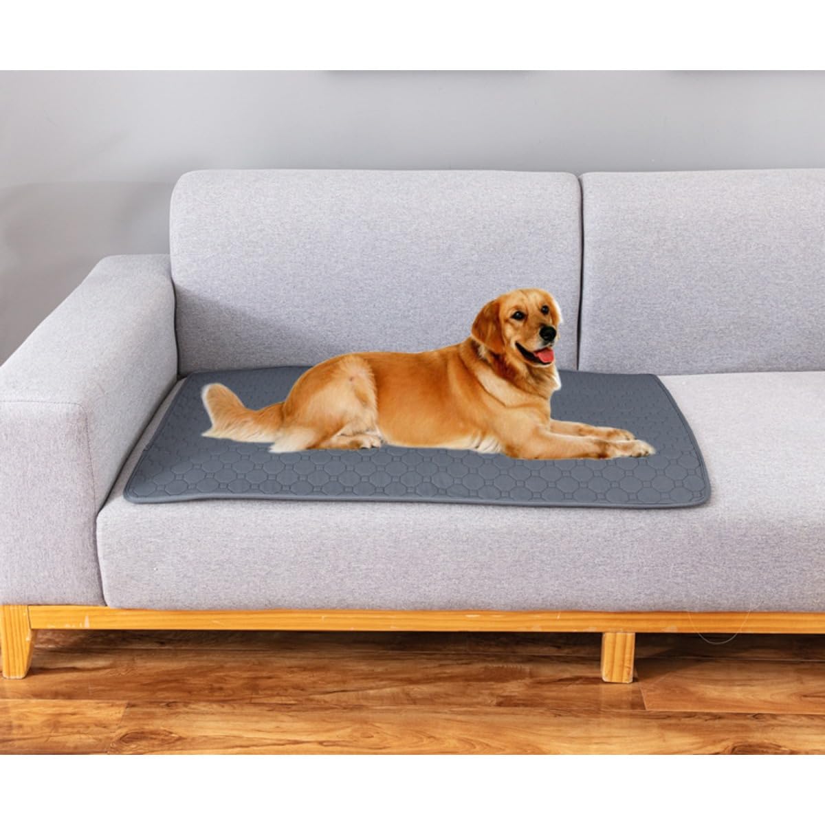 Amazon.co.jp: 洗えるペットシーツ 2枚入り 犬猫兼用 速乾3Dメッシュ