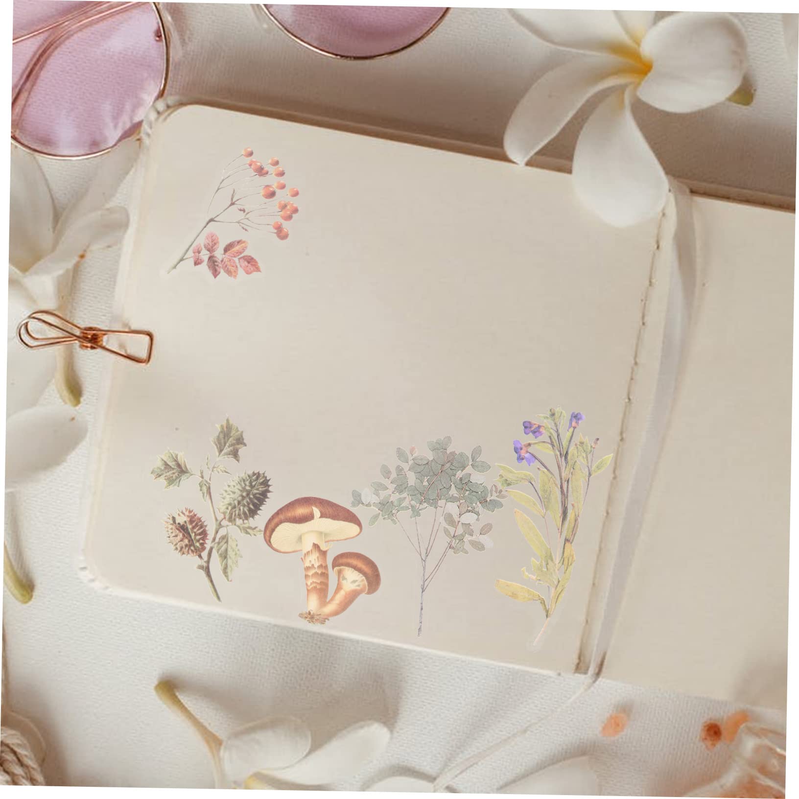 NUOBESTY 600stücke Pflanzenaufkleber Transparente Pet Blumen Sticker Für Scrapbooking Handbuch Fotoalbum Und Journaling Ästhetische Designs Für Kreative Bastelprojekte
